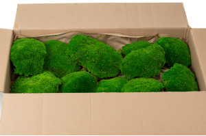 preserved-pole-moss-large-diameter-2-cn.