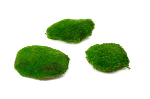 stabilisiertes-kugelmoos-grossem-durchmesser-2-cn