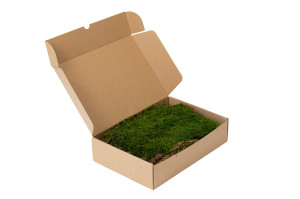 preserved-flat-moss-box-02.