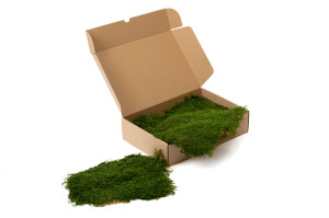 preserved-flat-moss-box-02.