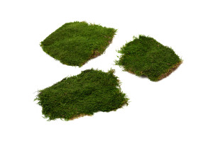 mousse-plate-stabilisee-boite-02