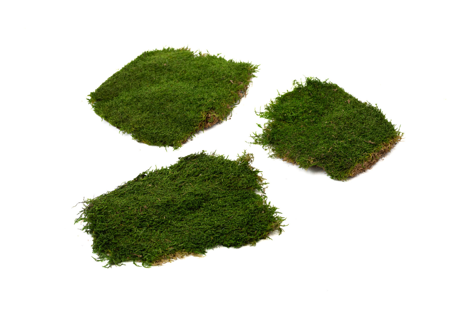 preserved-flat-moss-box-02
