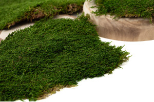 mousse-plate-stabilisee-boite-02.