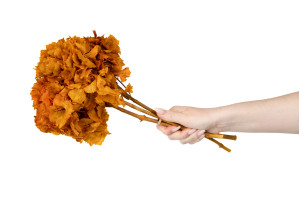 stabilisierte-hortensien-8.