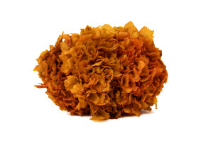 hortensia-stabilise-8.