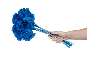 preserved-hydrangea-8.