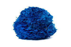 preserved-hydrangea-8.