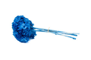 hortensia-stabilise-8.