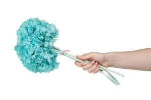 preserved-hydrangea-8.