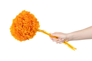 preserved-hydrangea-8.