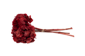 preserved-hydrangea-8.