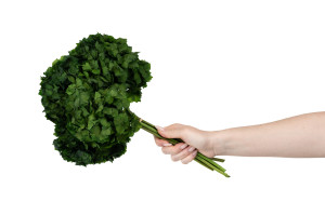 hortensia-stabilise-8.