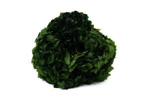 preserved-hydrangea-8.