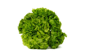 hortensia-stabilise-8.