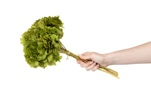 hortensia-stabilise-8.