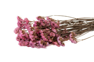 preserved-statice-6.