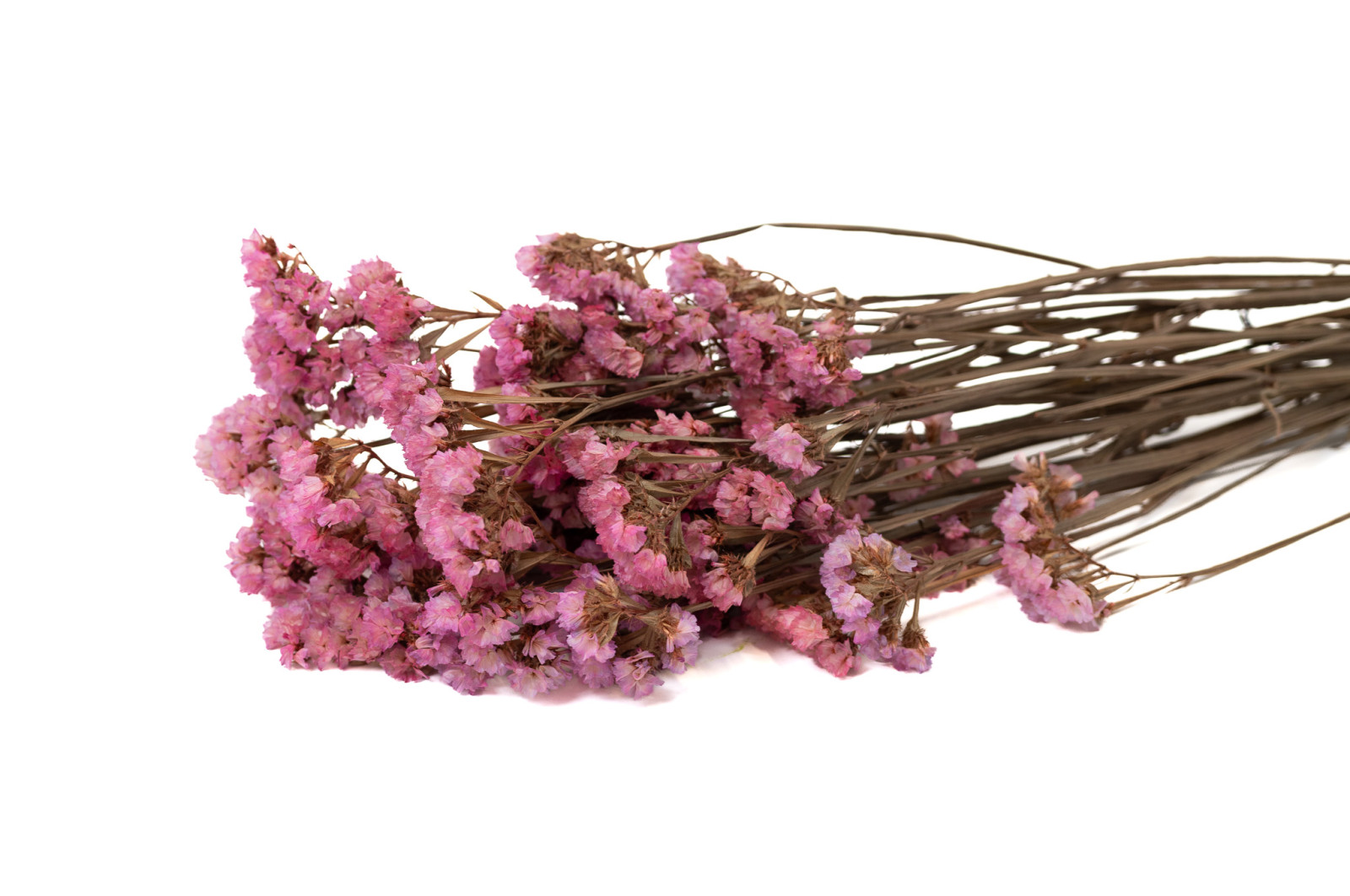 stabiliserte-statice-6