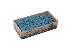 preserved-lichenreindeer-moss-500g-25.