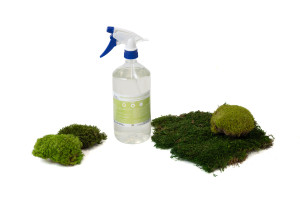 flammschutz-spray-stabilisierte-moose-und-flechten-44