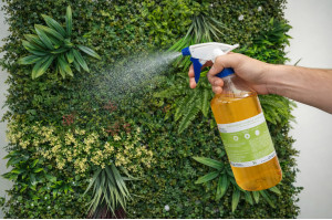 flammschutz-spray-fuer-kunstpflanzen.