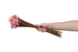 trockener-glixia-12.