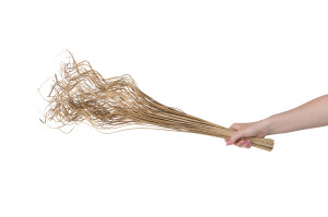 getrocknete-curly-ting-ting-29.