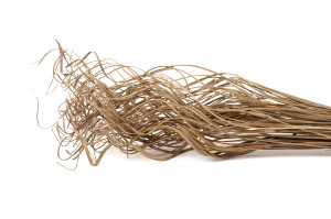 getrocknete-curly-ting-ting-29.