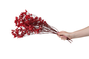preserved-limonium-14.