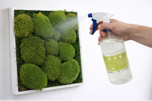 flame-retardant-spray-for-preserved-mosses-and-lichens-44.