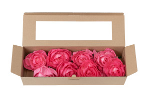 camelia-sola-flower-m-8.