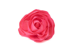 camellia-sola-flower-m-8.