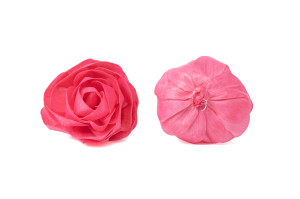 camellia-sola-flower-m-8.