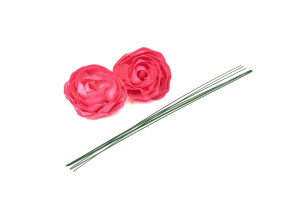 kamelie-sola-blume-m-8.