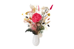 kamelie-sola-blume-m-8.