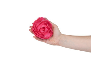 camelia-sola-flower-m-8.