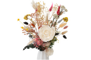 kamelie-sola-blume-m-8.