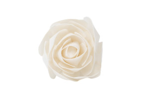 kamelie-sola-blume-m-8.