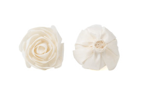 camellia-sola-flower-m-8.