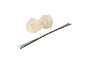 kamelie-sola-blume-m-8.