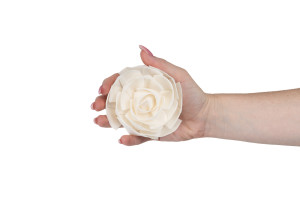 camelia-sola-flower-m-8.