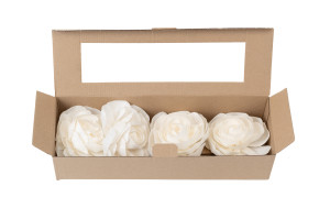 camellia-sola-flower-l-8.