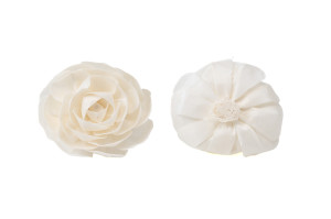 kamelie-sola-blume-l-8.