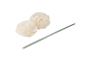 kamelie-sola-blume-l-8.