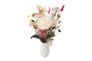 kamelie-sola-blume-l-8.