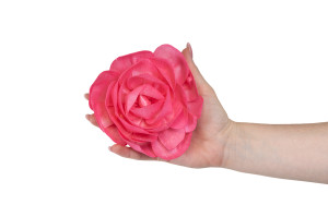 kamelie-sola-blume-l-8.