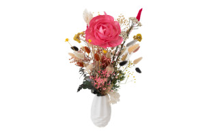 kamelie-sola-blume-l-8.