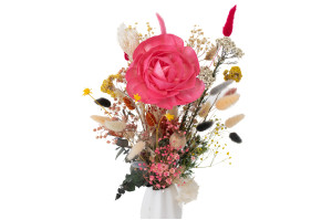 camelia-sola-flower-l-8.