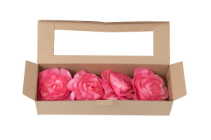 camellia-sola-flower-l-8.