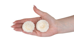 chrysanthemum-sola-flower-s-8.