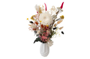 chrysantheme-sola-flower-m-8.